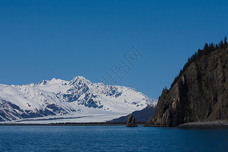 阿拉斯加的熊冰川风景天气山脉全景旅行巡航公园荒野海洋蓝色图片