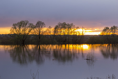 湖边有树的风景日落图片