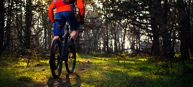 赛车手骑着自行车在美丽的仙子松林的轨迹上 冒险和旅行概念男人太阳活动魔法骑士男性车轮娱乐耐力速度图片