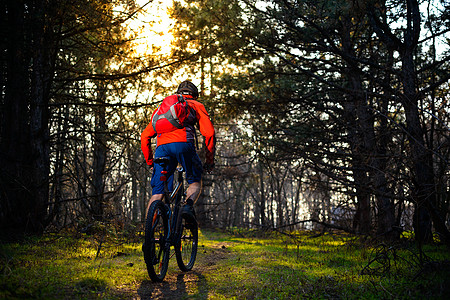 赛车手骑着自行车在美丽的仙子松林的轨迹上 冒险和旅行概念运动头盔太阳射线骑士运动员男人背包森林踪迹图片