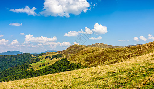 夏末喀尔巴阡山脊图片