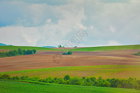 天空下的字段草地环境畜牧业用地风景饲养场产业场地农田农业图片