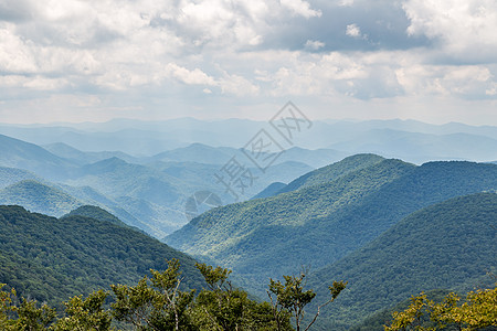 蓝海脊公园道绿色历史性荒野生态树木森林山脉旅行岩石丘陵图片