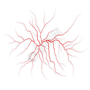 红血管 血管血管和动脉 矢量插图背景图片