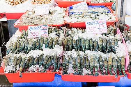 新鲜巨河虾动物海鲜美食市场销售食物小龙虾龙虾贝类背景图片