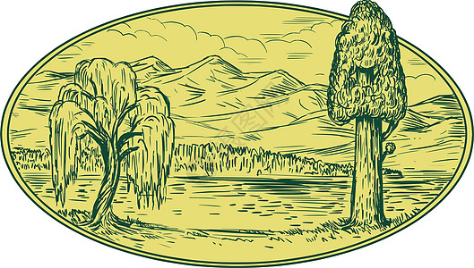 柳树和红杉树湖山椭圆形画柳属艺术品红木灌木柳条刮板画线巨杉手工墨水图片