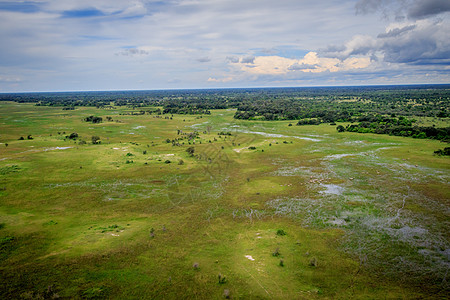奥卡万戈三角洲的空中景象动物宋体公园沼泽静脉首席生态渠道水坑旅游图片
