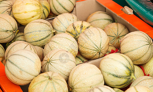 农民市场上的Charentais甜瓜乐队多样性水果条纹果皮农贸市场灰绿色橙子淡绿色美食图片