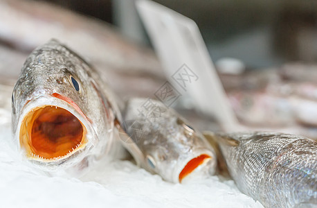 海产食品市场冰上鲜少的鲜鲜鲜尾巴脱线海岸烹饪摊位鱼片团体投标荒野海鲜图片