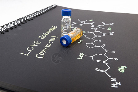 用化学公式笔记本上装有化学式笔记本的科学家技术管子写作药店生物学家科学样品化学品图片