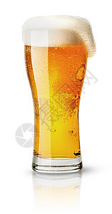 鲜汗玻璃和泡沫中的轻啤酒图片