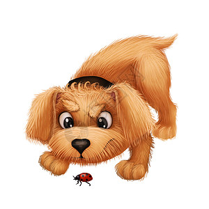 可爱的小毛皮小狗 - 卡通动物品格的马斯科特与 Ladybug 玩耍图片