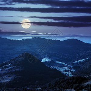 夜里在山上爬起的迷宫林图片