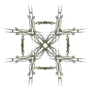 带有深绿色图案的抽象分形正方形插图单元白色样本渲染背景图片
