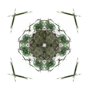 带有深绿色图案的抽象分形样本渲染白色单元正方形插图背景图片