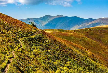 夏天穿过山脊的山脊人行道旅行远足上坡山坡天空冒险踪迹风景草地图片