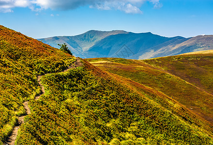 夏天穿过山脊的山脊人行道旅行远足上坡山坡天空冒险踪迹风景草地背景图片