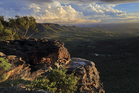澳大利亚关于大隆谷地蓝山的看法 7图片