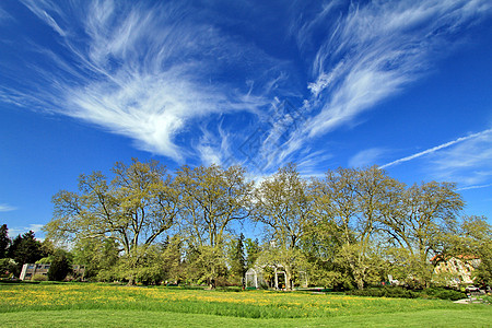 蓝色天空的美丽自然风景图片