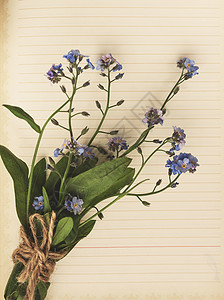 笔记本的旧空白页 有一束忘记我的花束羊皮纸花朵缠绕细绳桌子笔记日记规划师皮肤教育图片