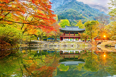 秋天的白阳萨寺 科雷亚的Naejangsan公园图片