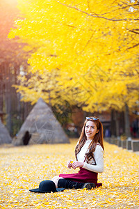 韩国纳米岛的黄叶美少女 秋天在南美岛树叶植物小屋访客绿色树木文化经济女孩历史性图片