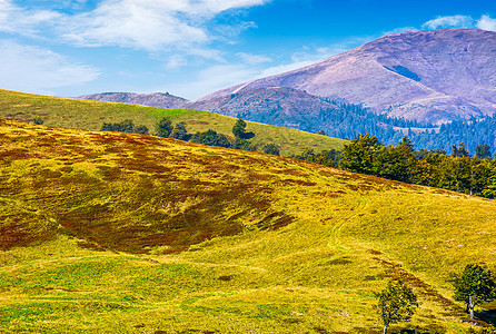 夏末喀尔巴阡山山脉旅行爬坡森林天空蓝色地面农村草地山坡边缘图片