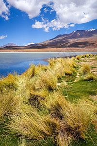 玻利维亚苏德利佩斯保留地阿尔蒂普拉诺滞后区荒野天空火山风景太阳旅行地标保护高原沙漠图片