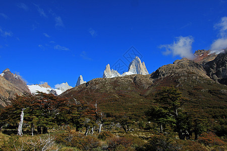 阿根廷洛斯格拉西亚雷斯国家公园Fitz Roy山天空森林晴天蓝色冰川山脉国家岩石公园地标图片