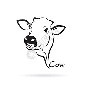 白色背景下牛头设计的矢量 农场动物图片