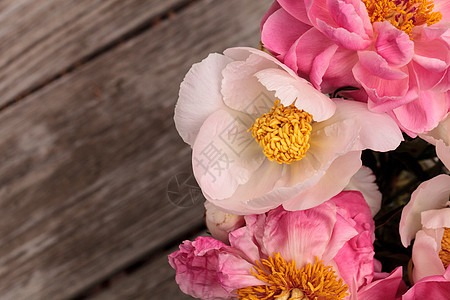 白花和粉红小马花花园花束牡丹粉红色浪漫白牡丹粉色牡丹花背景图片