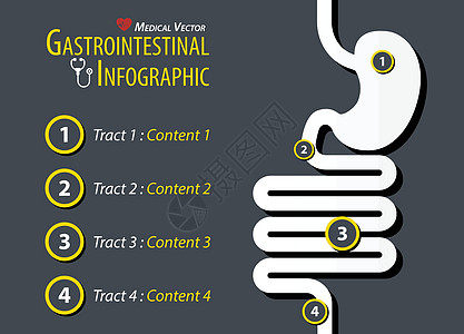气管肠胃内分泌 平板设计图片