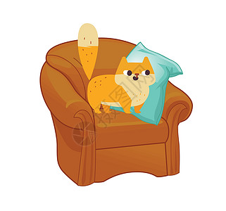金吉儿猫矢量 有趣的大扶手椅上长毛小猫图片