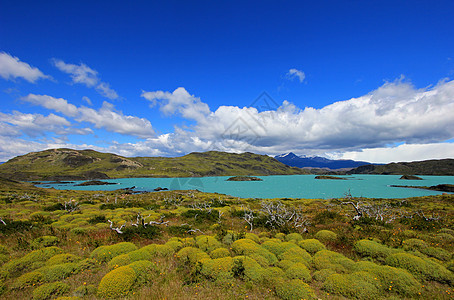 智利帕塔哥尼亚国家公园湖悬崖瀑布岩石山脉野生动物戏剧性全景蓝色天空荒野图片