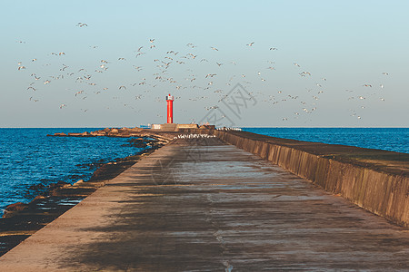 海浪海鸥海鸥对灯塔海堤石头海浪码头橙子白色航海海岸线飞行海洋背景