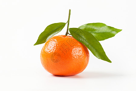 有叶子的橘仁树叶热带柑桔食物橘子情调水果异国图片