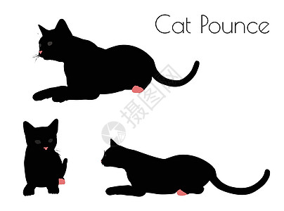 Pounce Pos 中的猫剪影图片