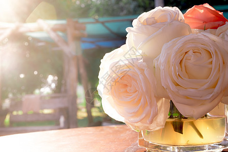 玫瑰花紧贴在背景粉色白色礼物植物叶子念日红色婚礼花朵庆典图片