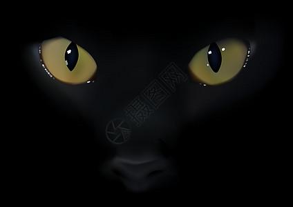 黑猫眼图片