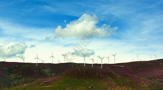 拉凡德山上的风涡轮薰衣草场地爬坡紫色水平环境电力燃料螺旋桨风车图片
