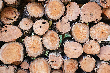 堆放在切木 木材 木柴中的木柴背景林业风化木垛树干活力生长云杉木头森林硬木图片