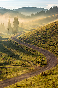 日出时雾中山林的弯曲道路背景