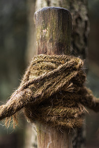 一根绳绳结缠在木柱上图片