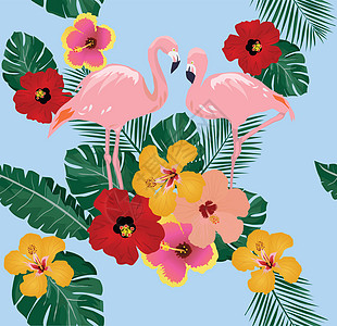 背景森林热带植物横幅木槿印迹火烈鸟夫妻野生动物红色图片