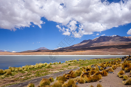 玻利维亚苏德利佩斯保留地阿尔蒂普拉诺滞后区地标天空风景高原旅行火山保护晴天沙漠旅游图片