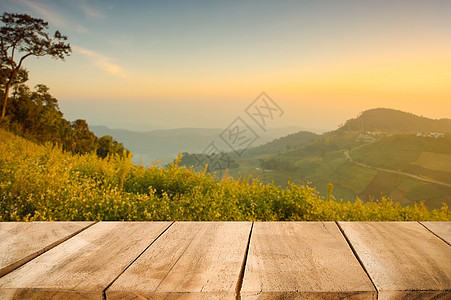 木材桌为空 可用以显示森林性质产品图片