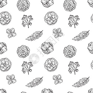 手画花朵的无缝图案 黑白 矢量插图打印植物奢华枝条织物墙纸花瓣季节性叶子花园背景图片
