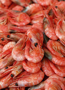 新煮的粉红小虾特写摊位店铺贝类市场海鲜烹饪零售食物展示小吃图片