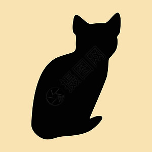 猫集合矢量 silhouett猫咪哺乳动物艺术草图卡通片黑色猫科动物阴影冒充尾巴图片