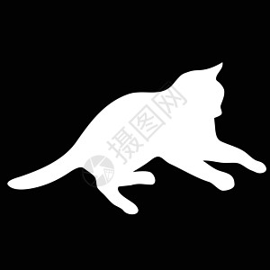 猫集合矢量 silhouett卡通片小猫猫科动物尾巴插图跳跃绘画黑色夹子冒充图片